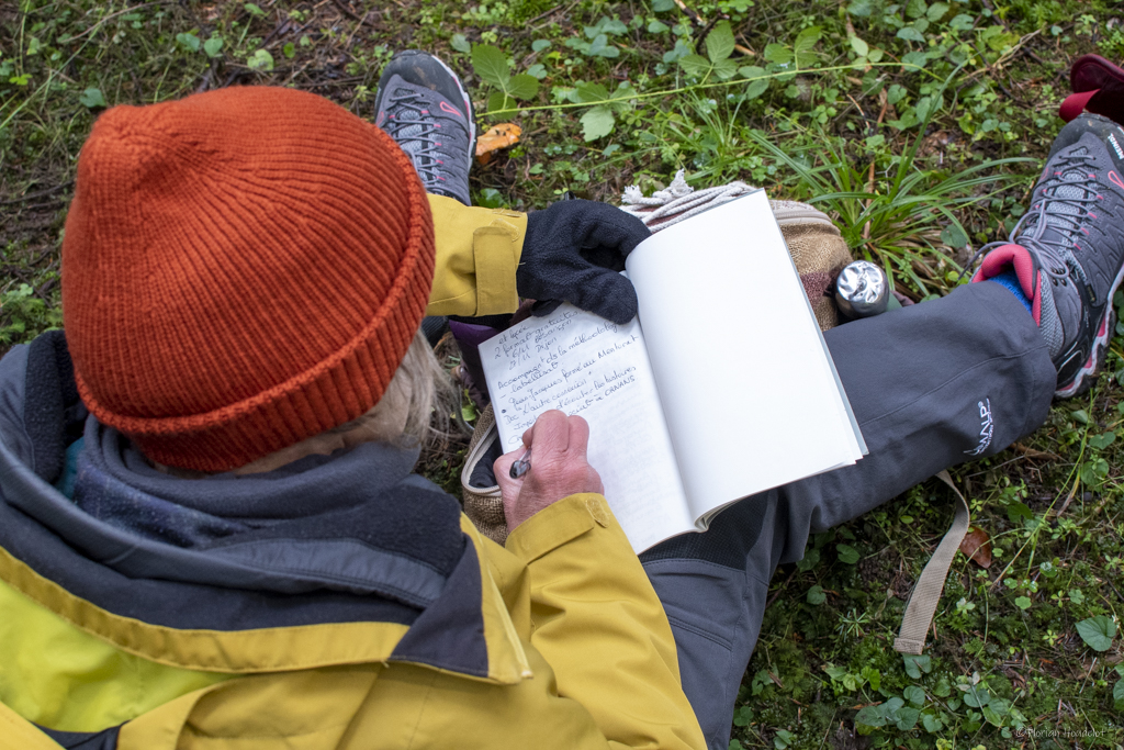 Écriture d’un carnet d’observation en pleine nature, symbole d’un lien sensible et culturel au vivant