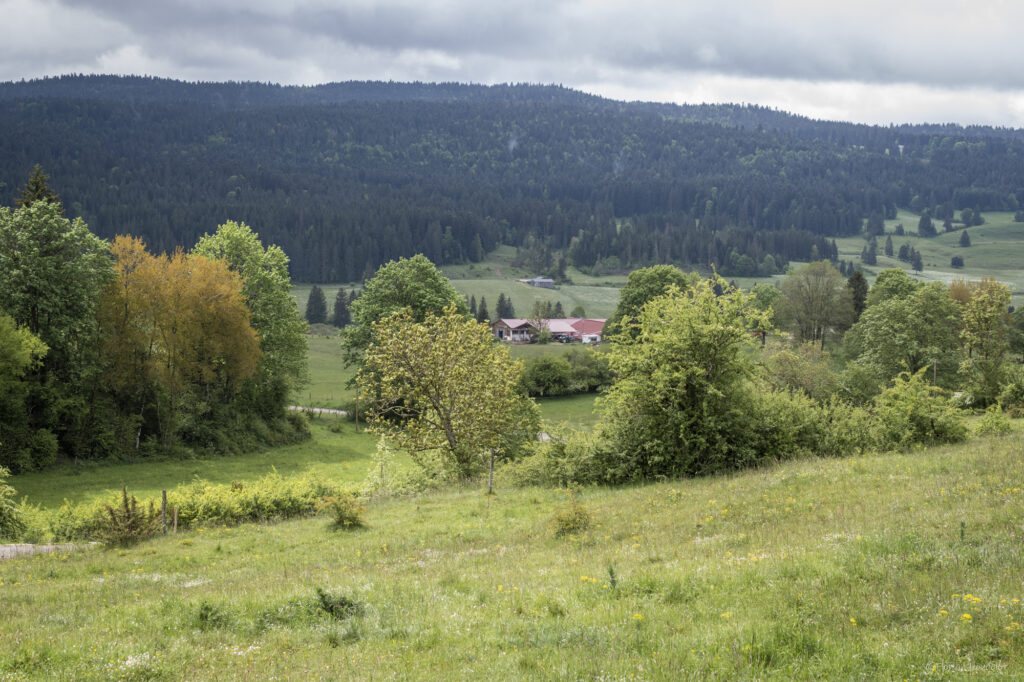 Paysage du Haut-Doubs autour de Rochejean pendant une classe verte