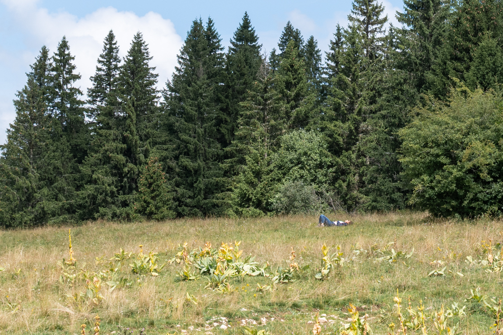 personne allongé dans l'herbe - écoute
