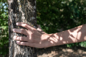 main posée sur un arbre - photographie sensible