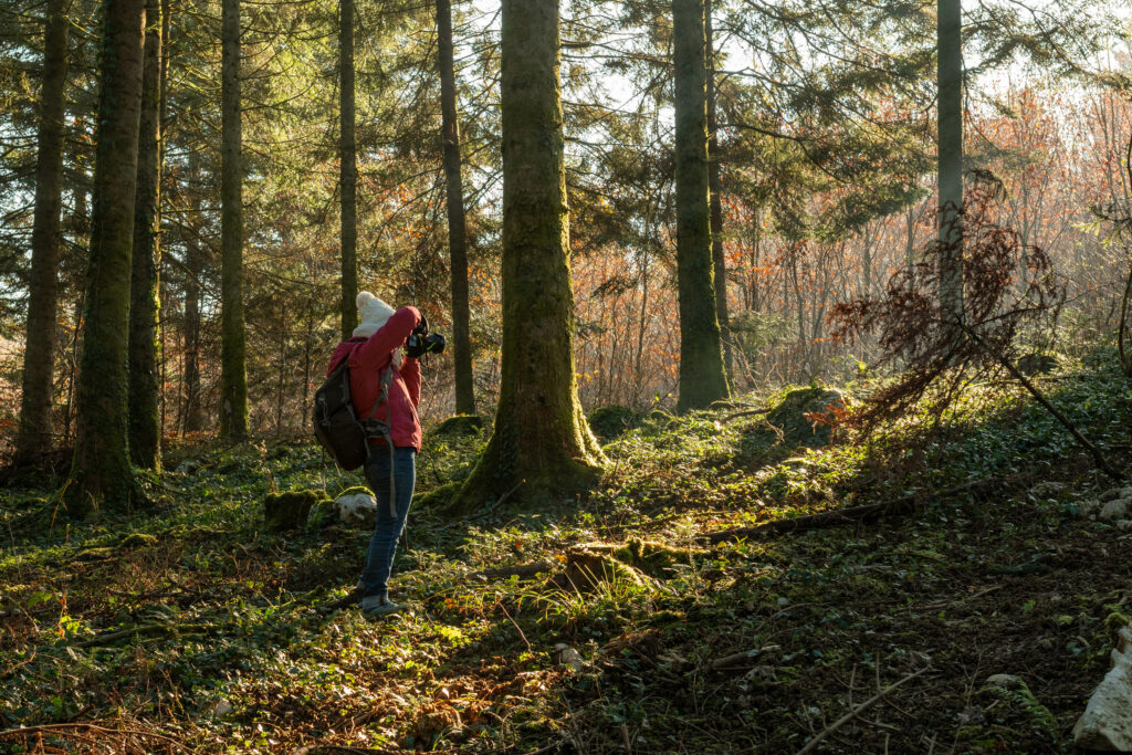 une personne photographie un sous bois dans un halo de lumière