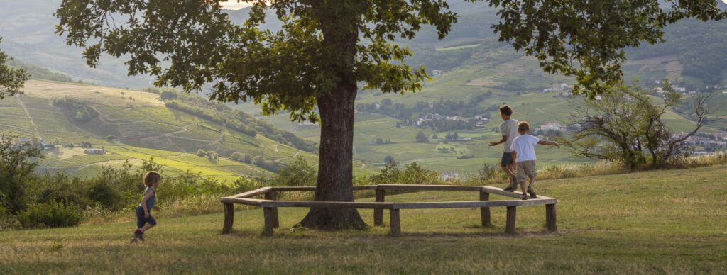 Beaujolais coucher de soleil